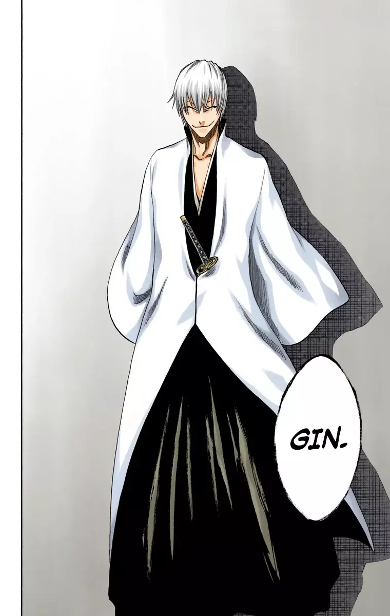 Bleach (Color) capítulo 213, página 19
