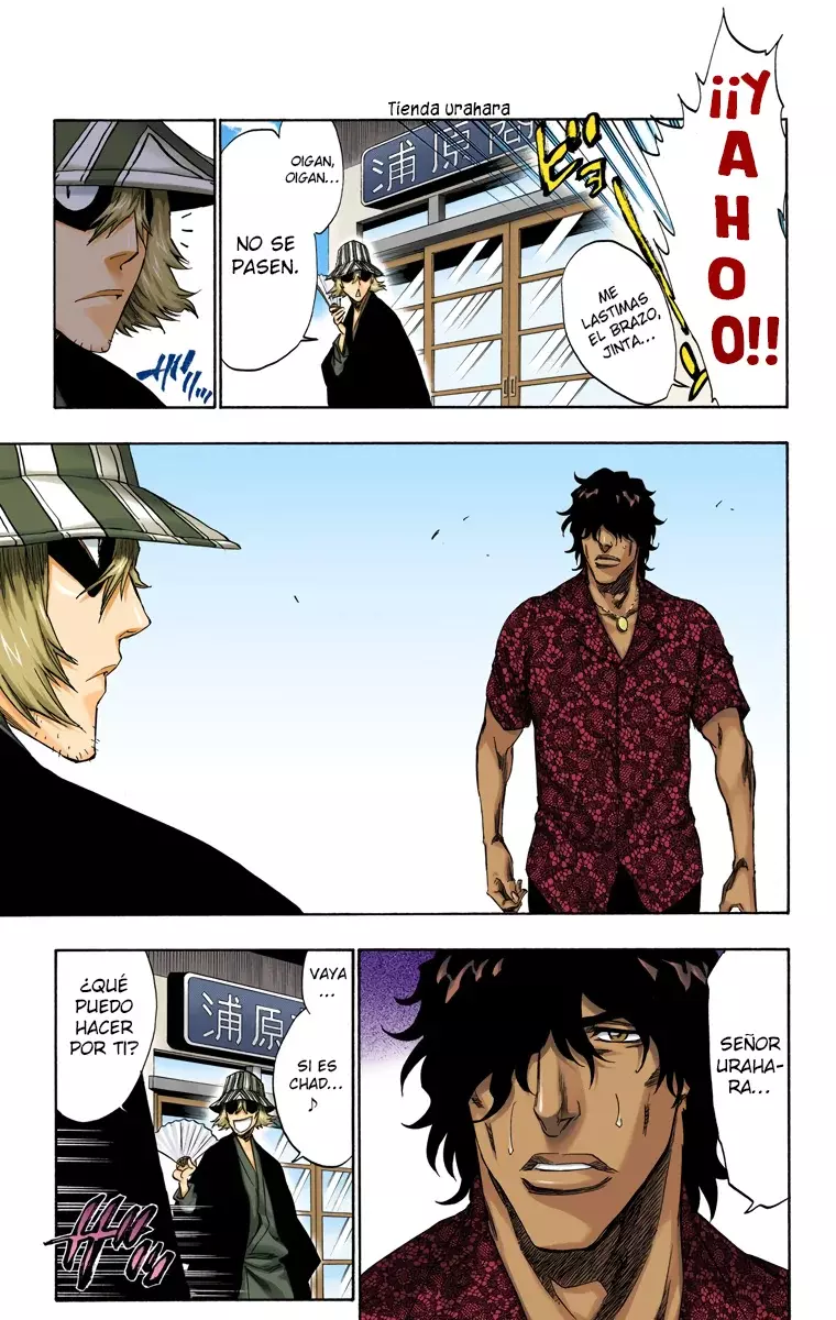 Bleach (Color) capítulo 214, página 16