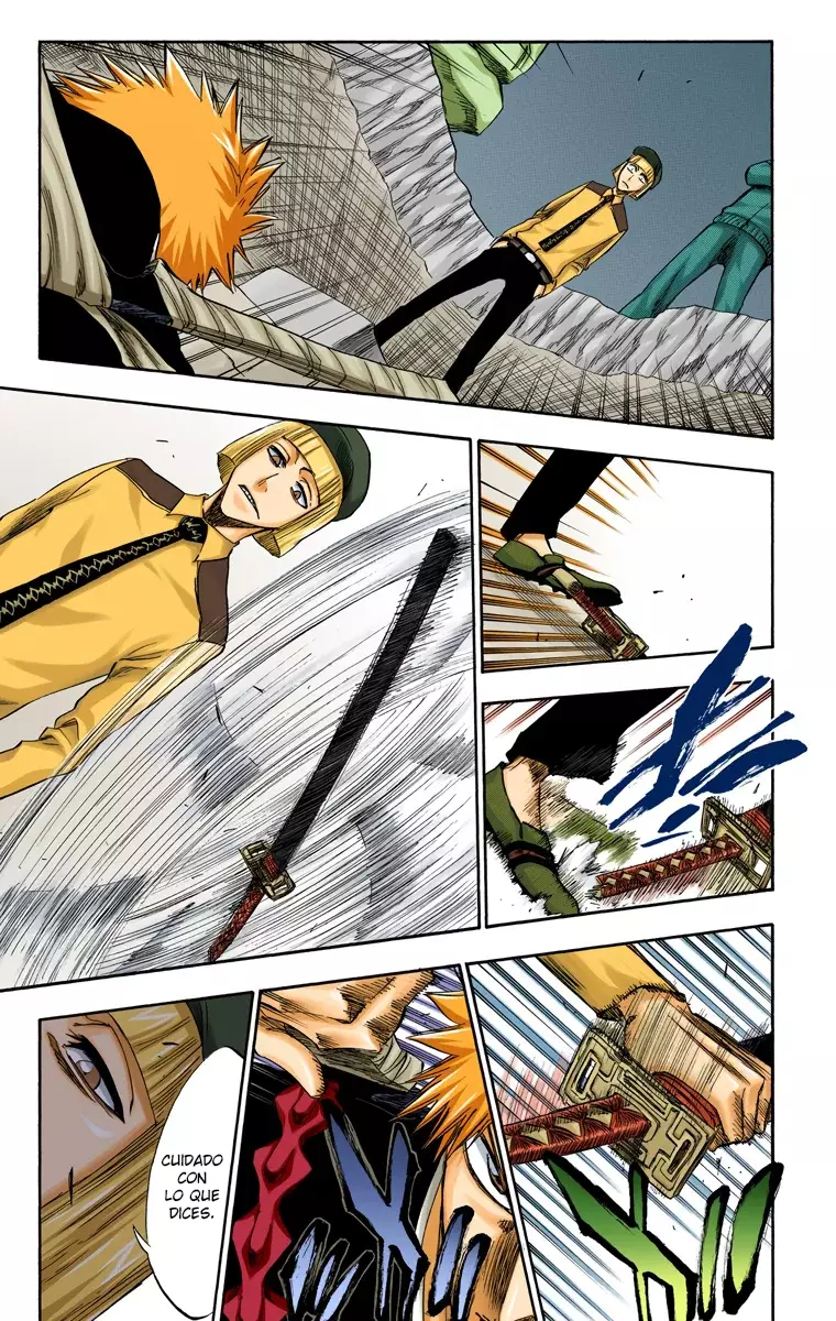 Bleach (Color) capítulo 215, página 11