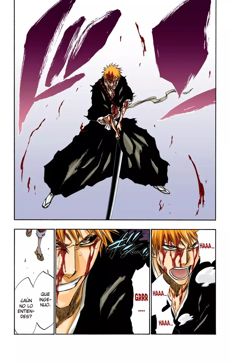 Bleach (Color) capítulo 216, página 8