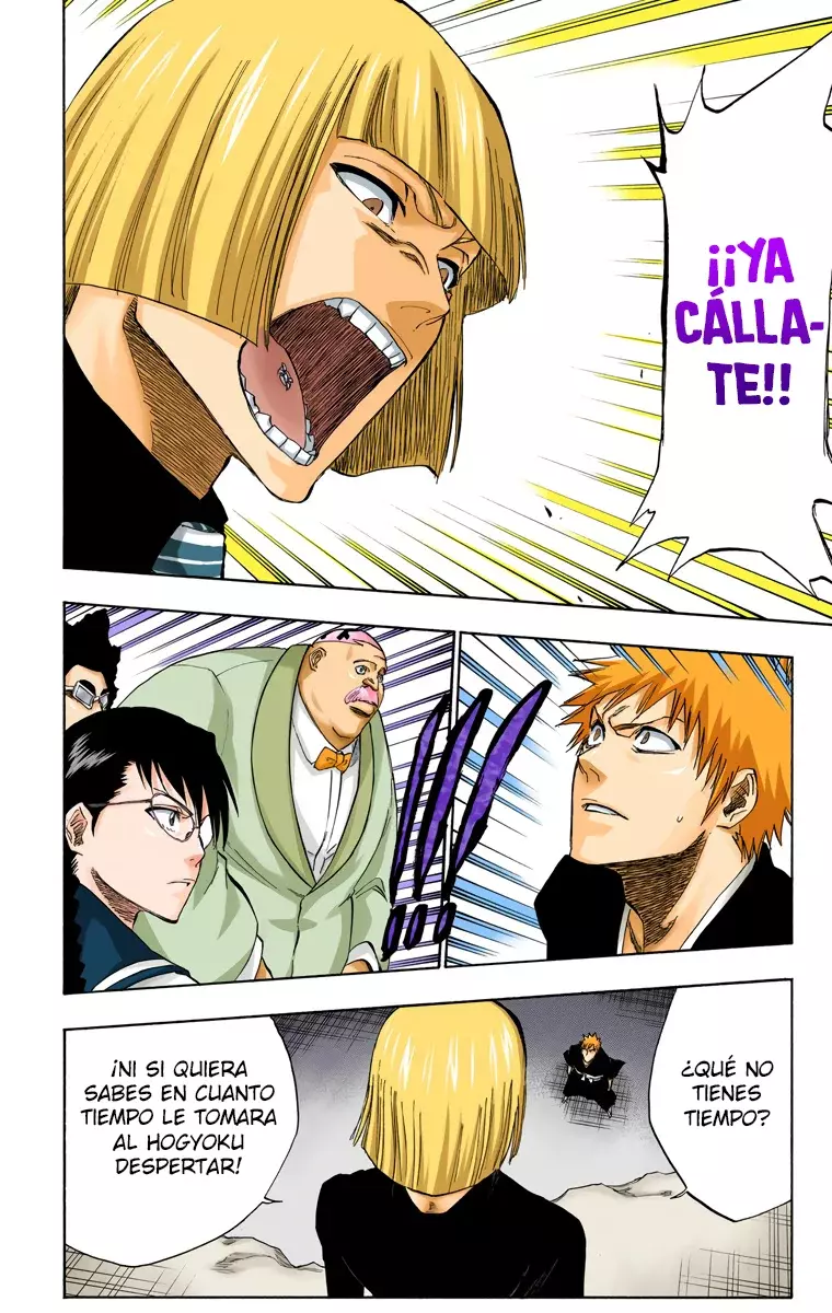 Bleach (Color) capítulo 217, página 13