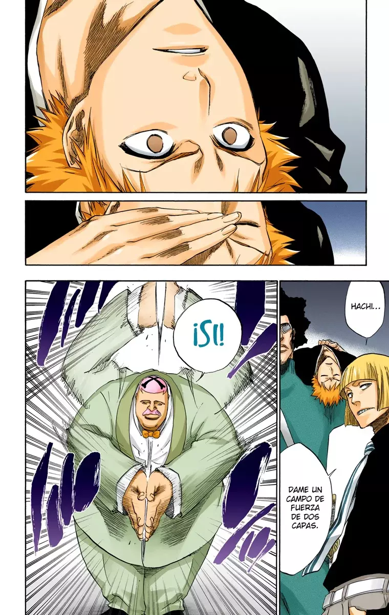 Bleach (Color) capítulo 217, página 17