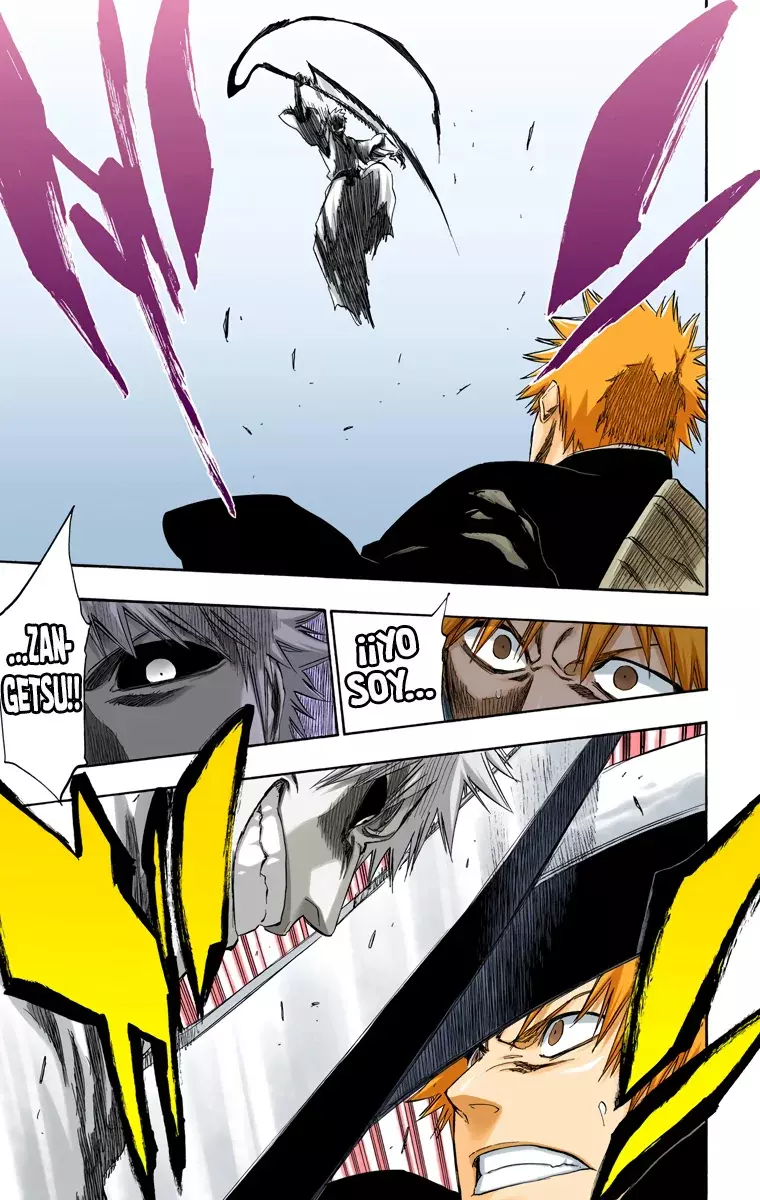 Bleach (Color) capítulo 218, página 11