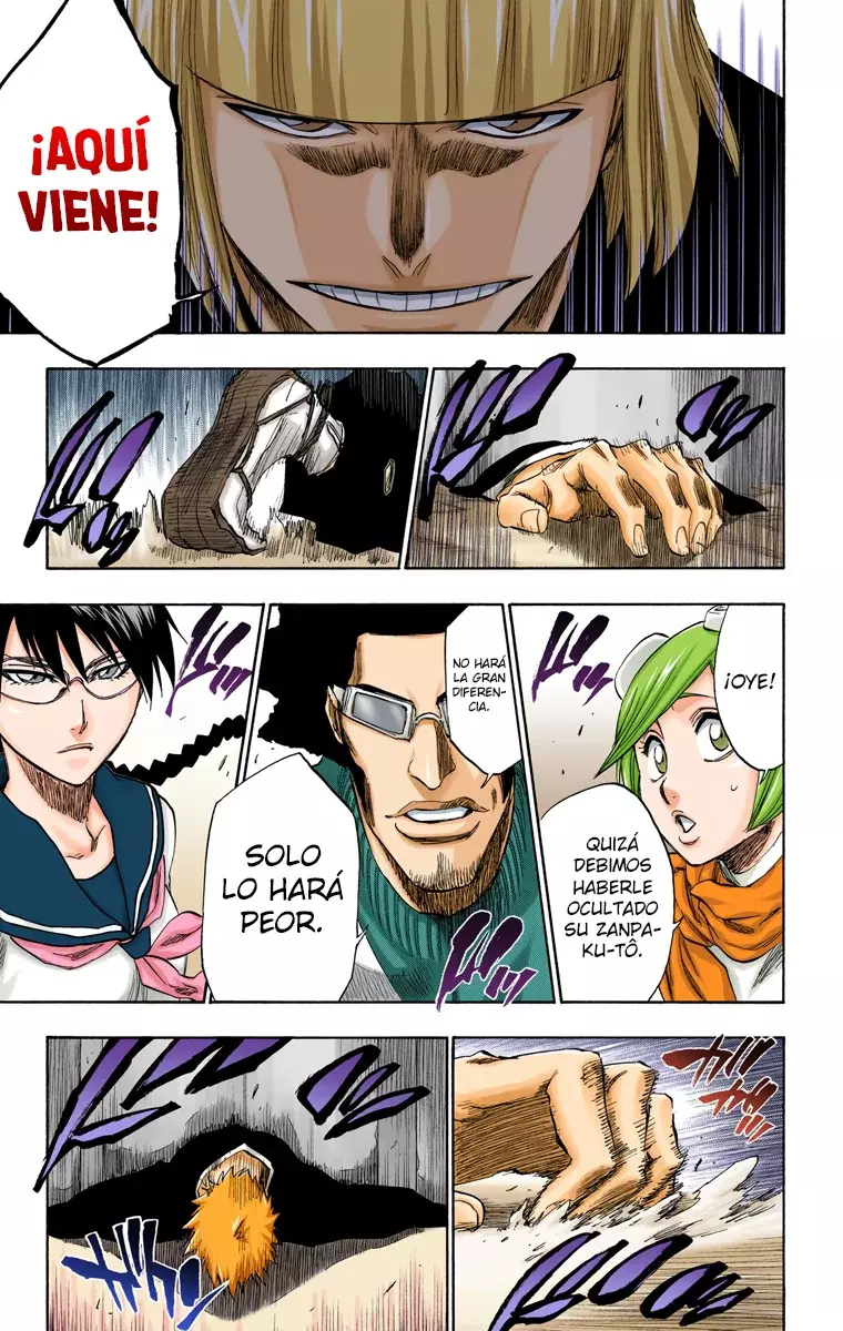 Bleach (Color) capítulo 218, página 13
