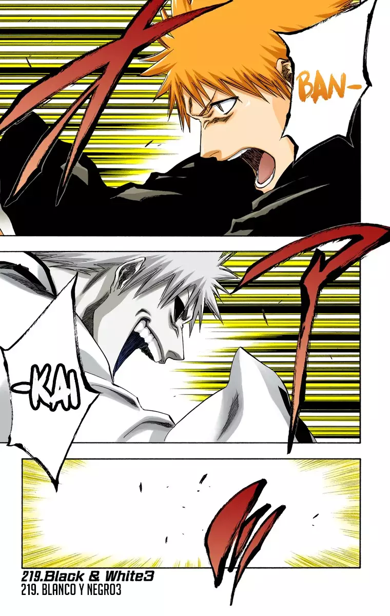 Bleach (Color) capítulo 219, página 2