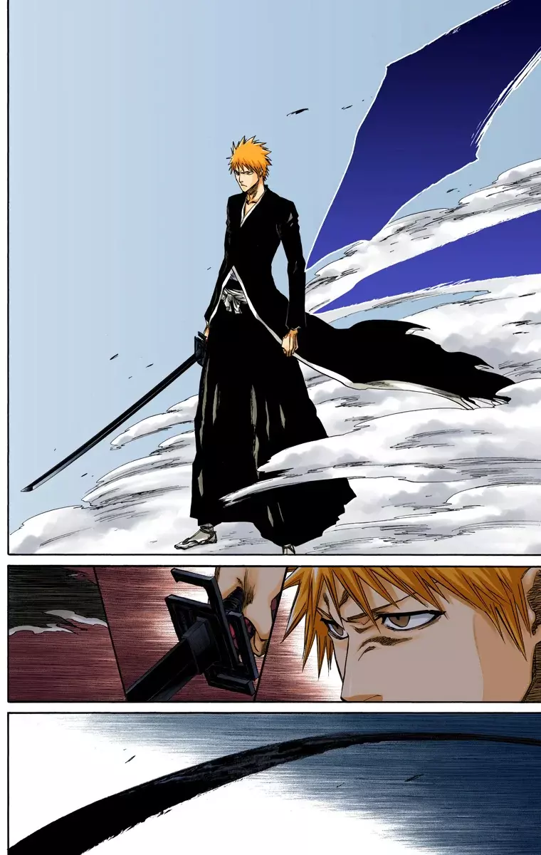 Bleach (Color) capítulo 219, página 6