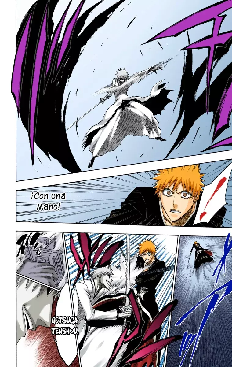 Bleach (Color) capítulo 219, página 13