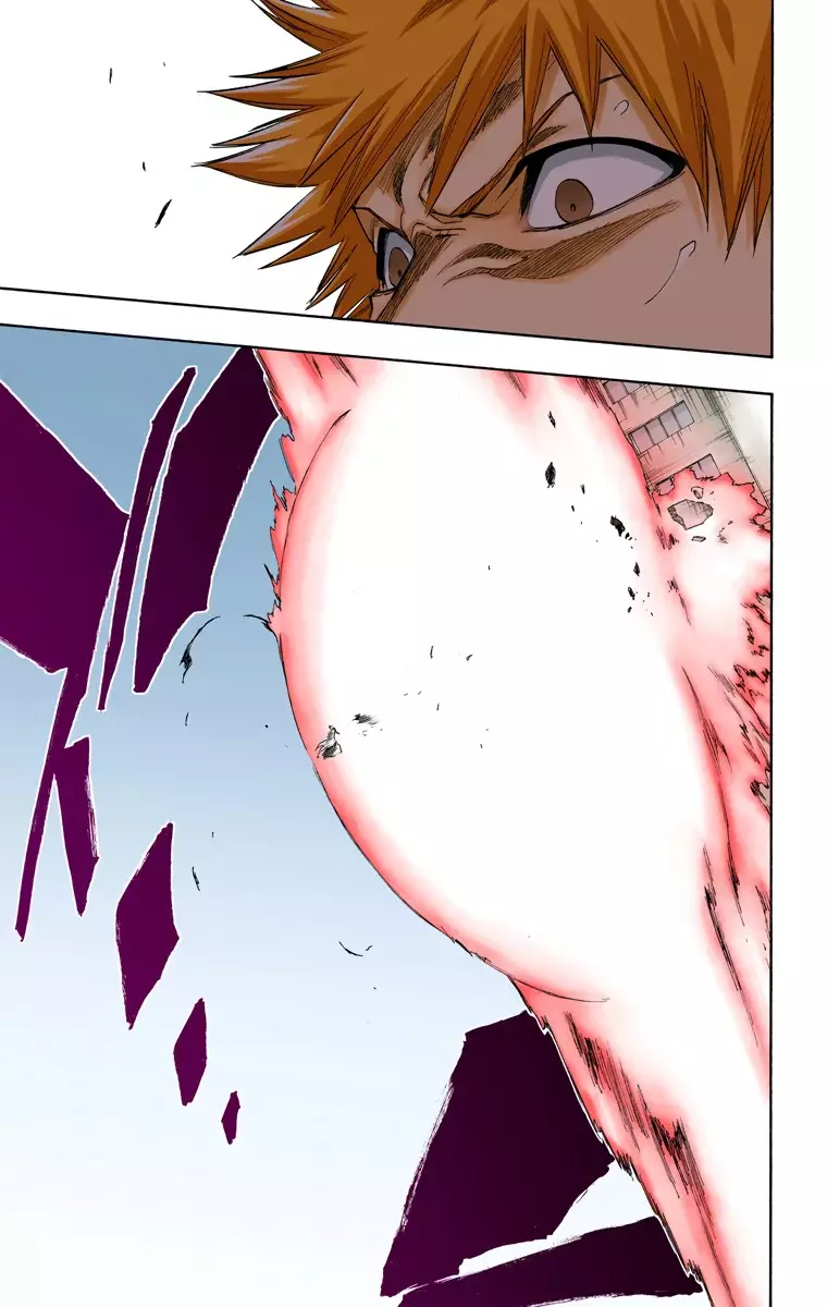Bleach (Color) capítulo 219, página 14