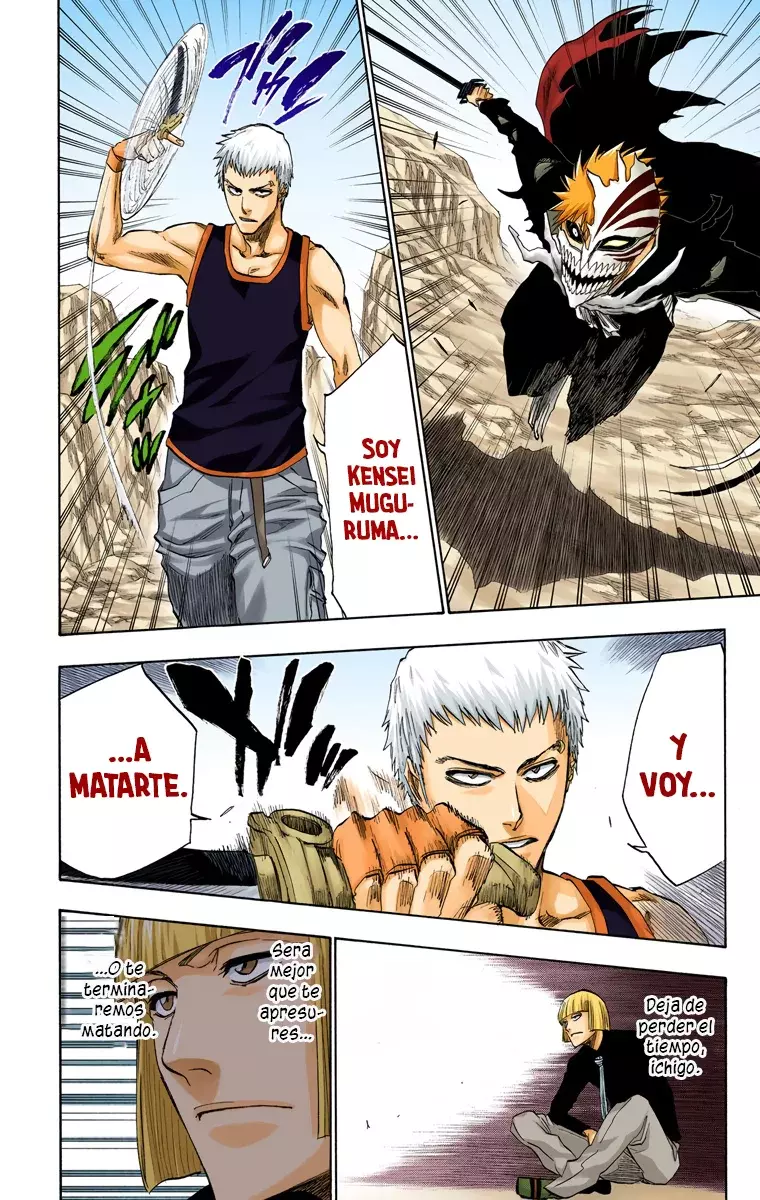 Bleach (Color) capítulo 219, página 17