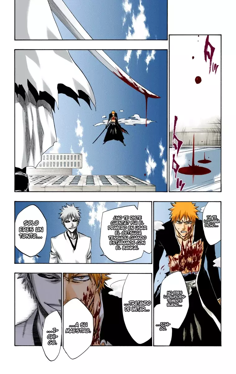 Bleach (Color) capítulo 219, página 18