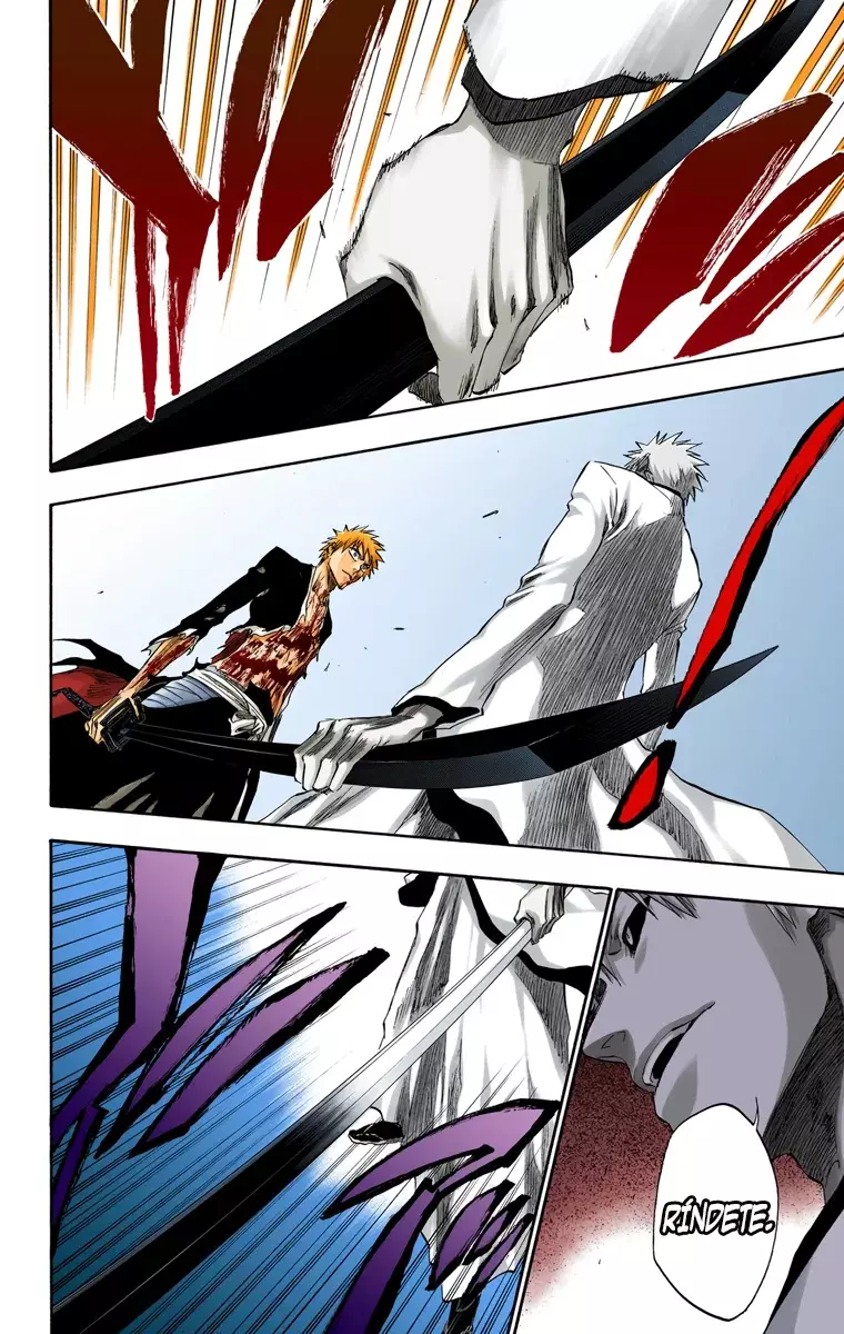 Bleach (Color) capítulo 219, página 19