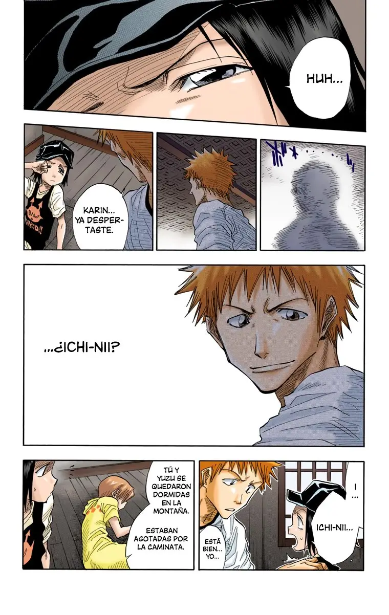 Bleach (Color) capítulo 22, página 16