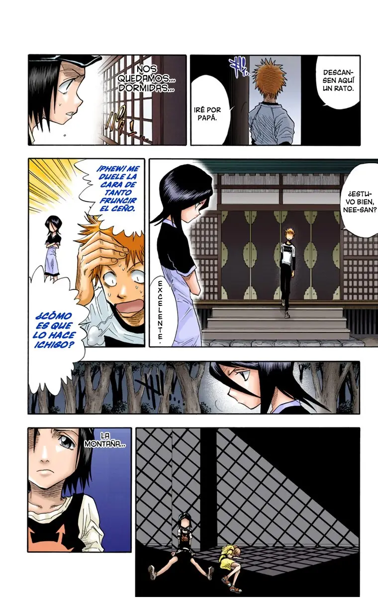 Bleach (Color) capítulo 22, página 17