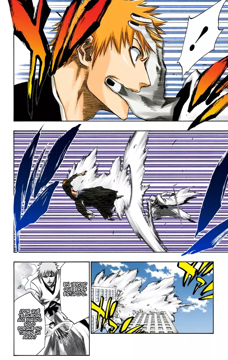 Bleach (Color) capítulo 220, página 11