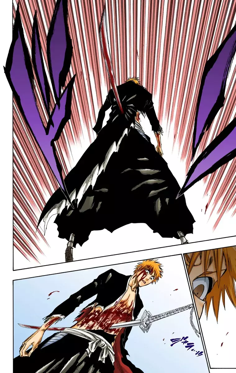 Bleach (Color) capítulo 220, página 15