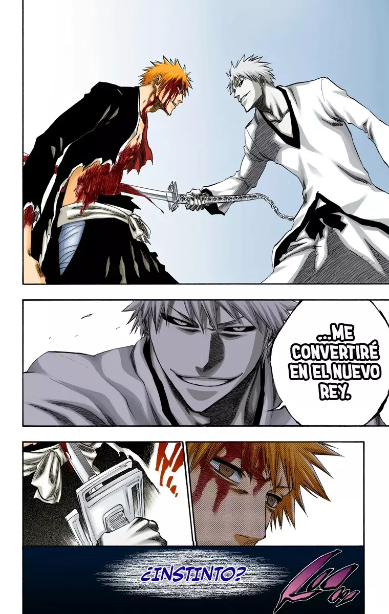 Bleach (Color) capítulo 220, página 17