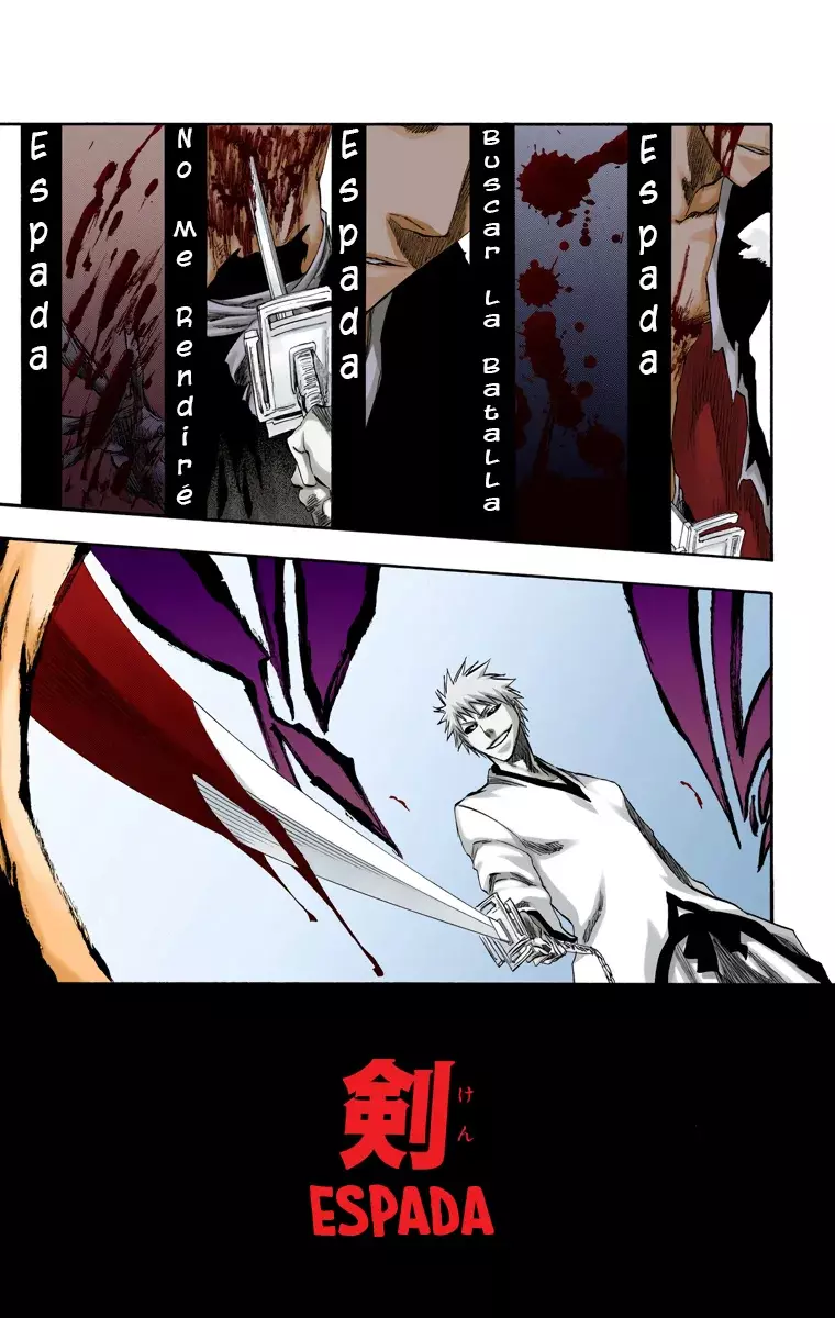 Bleach (Color) capítulo 220, página 18