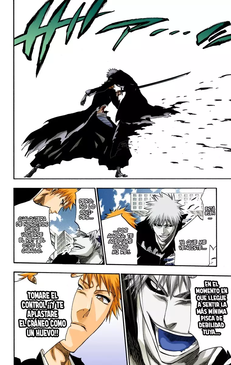 Bleach (Color) capítulo 221, página 17