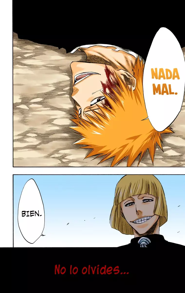 Bleach (Color) capítulo 222, página 13