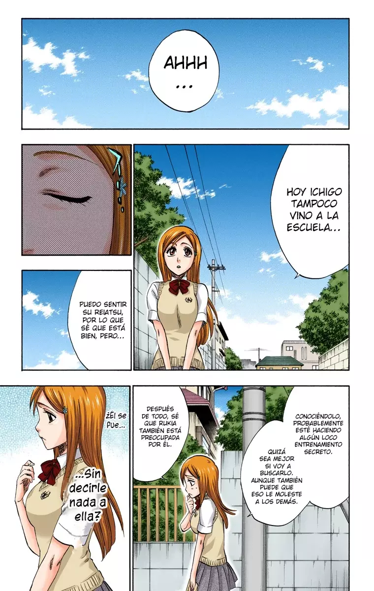 Bleach (Color) capítulo 222, página 16