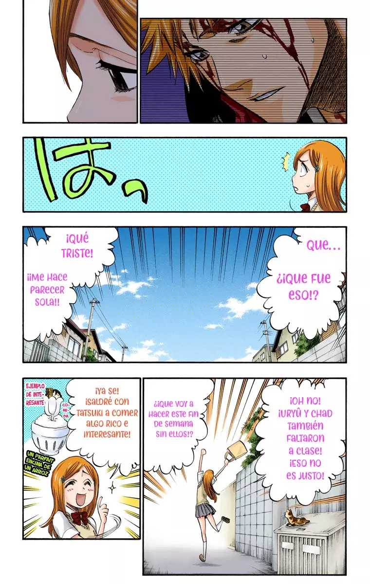Bleach (Color) capítulo 222, página 17