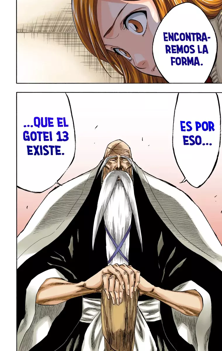 Bleach (Color) capítulo 223, página 13