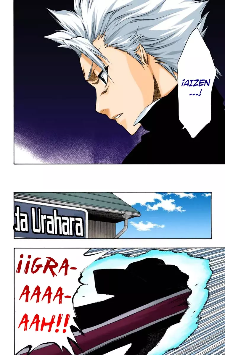 Bleach (Color) capítulo 224, página 17