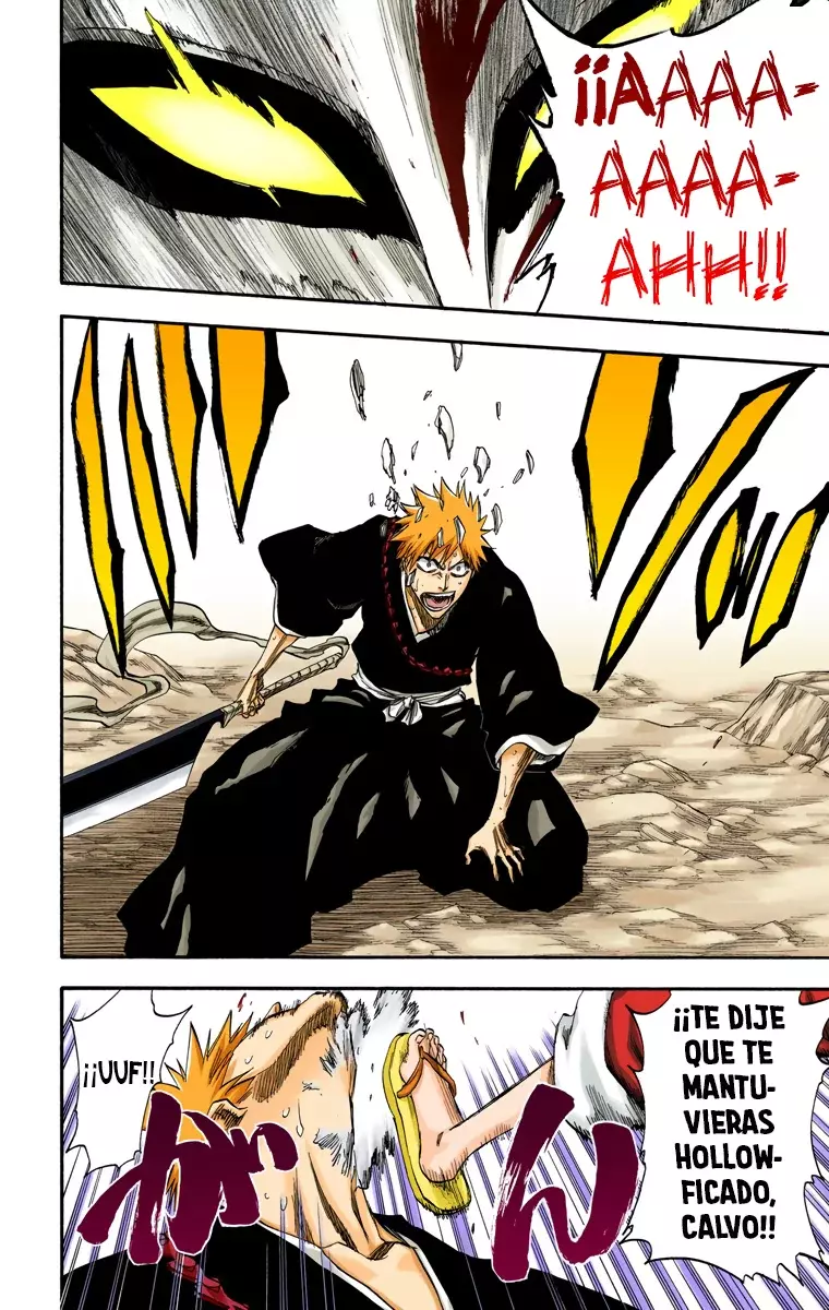 Bleach (Color) capítulo 224, página 23