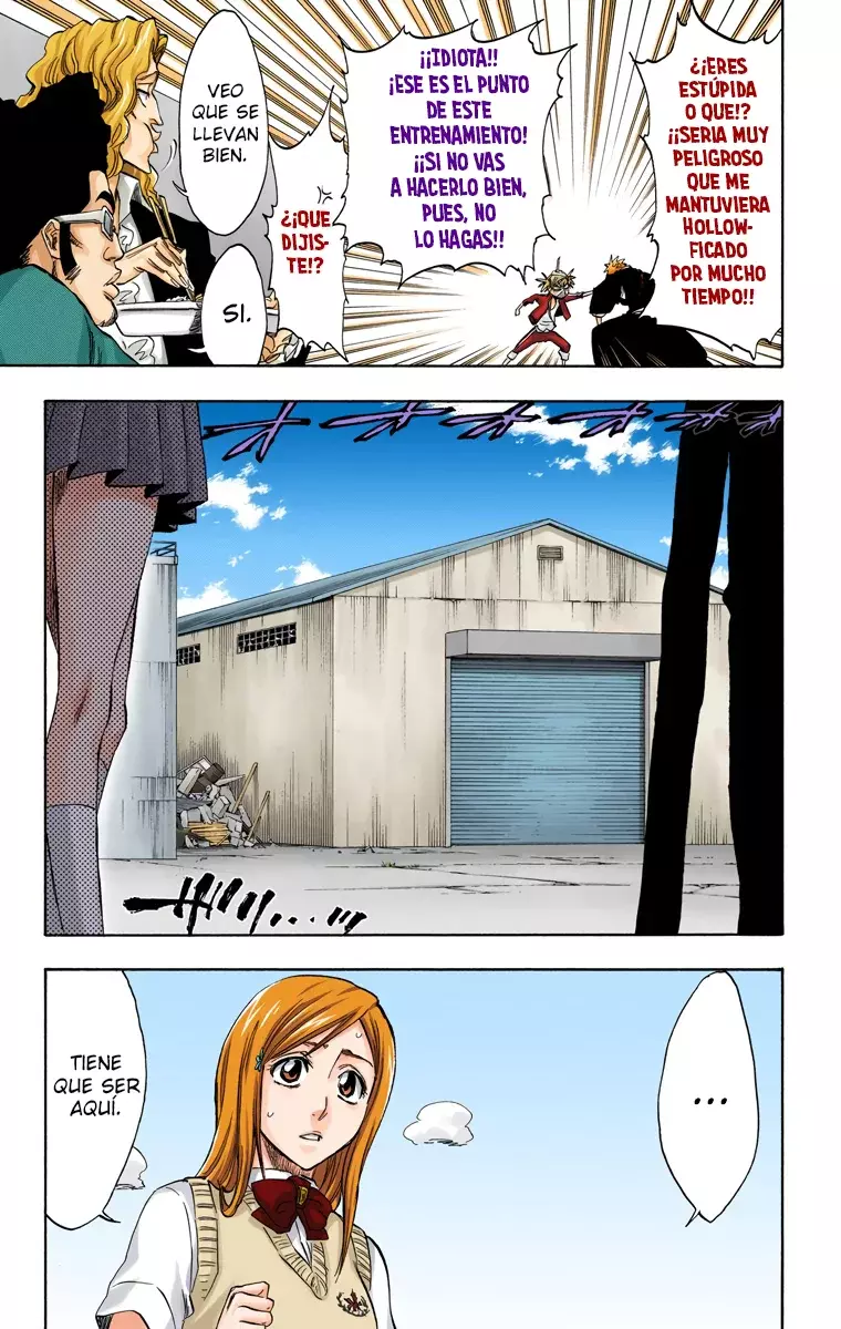 Bleach (Color) capítulo 224, página 24