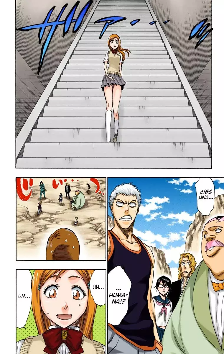 Bleach (Color) capítulo 225, página 13