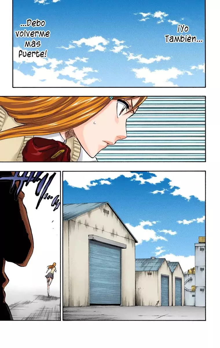 Bleach (Color) capítulo 225, página 18