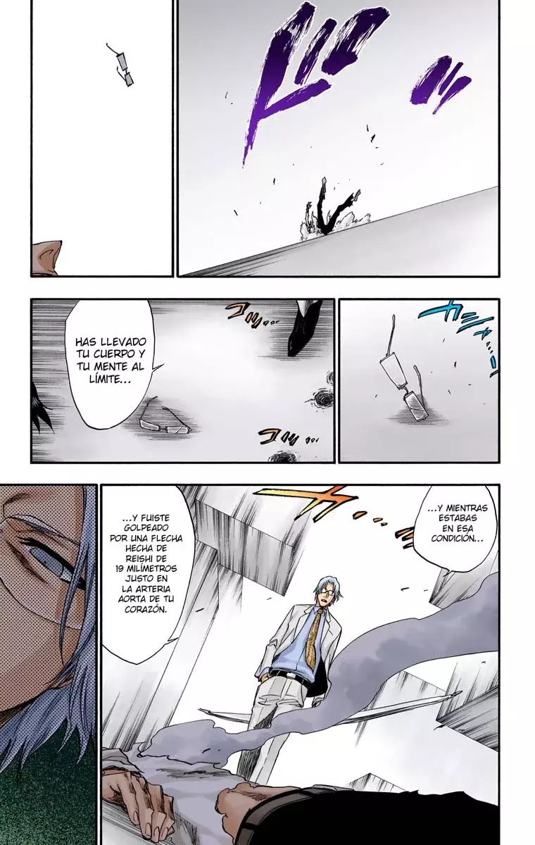 Bleach (Color) capítulo 226, página 16