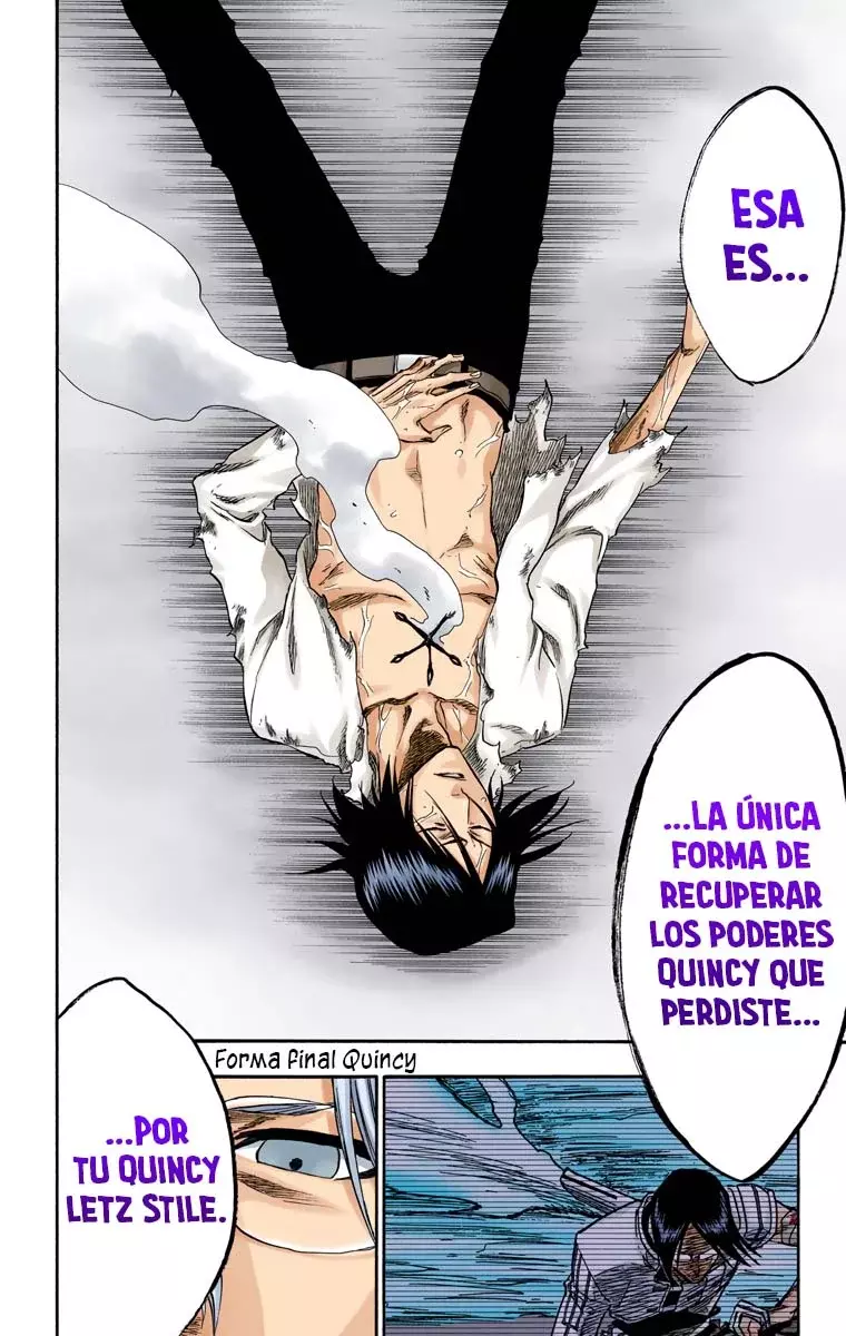 Bleach (Color) capítulo 226, página 17
