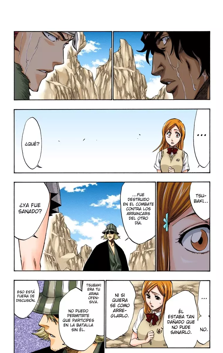 Bleach (Color) capítulo 227, página 14