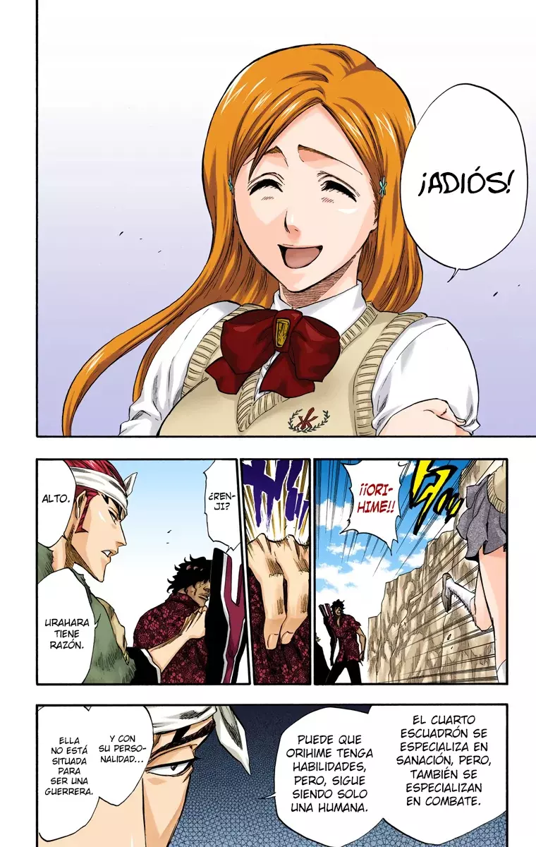 Bleach (Color) capítulo 227, página 17