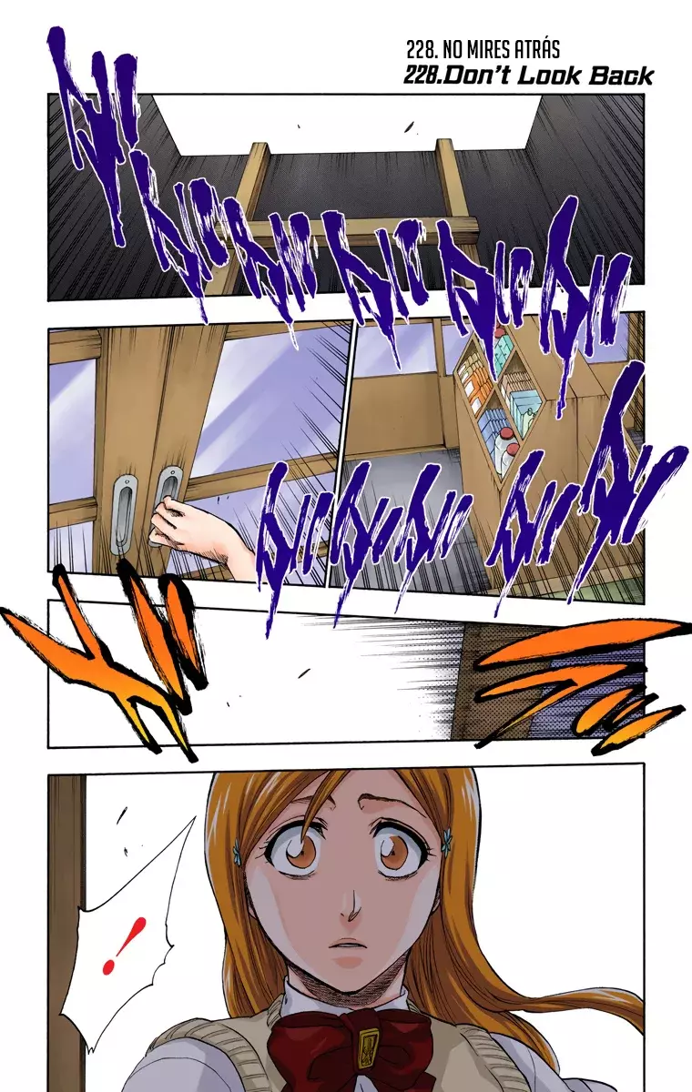 Bleach (Color) capítulo 228, página 2