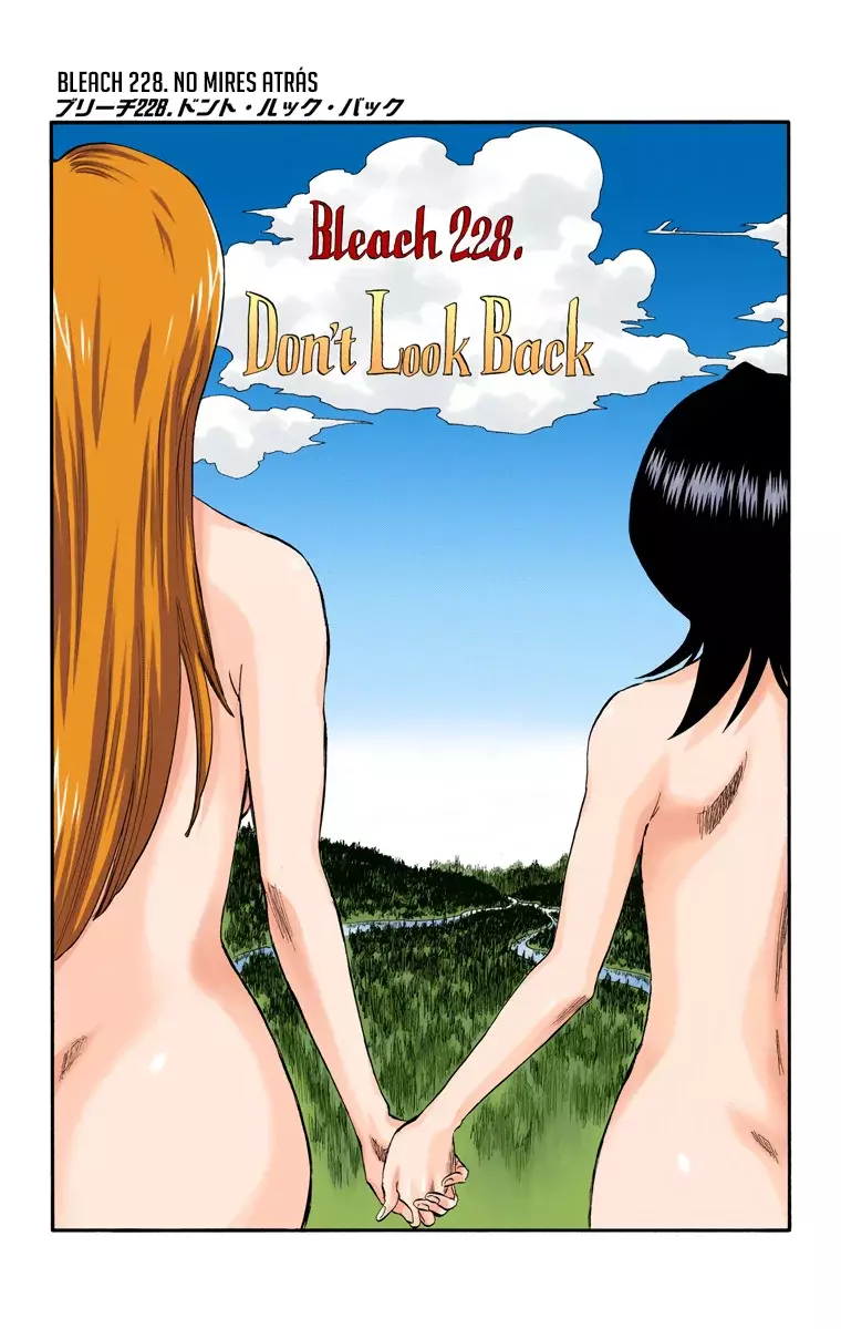 Bleach (Color) capítulo 228, página 4