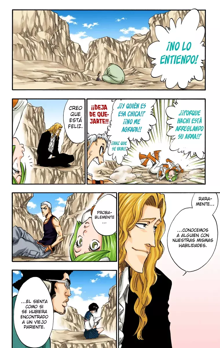 Bleach (Color) capítulo 228, página 13