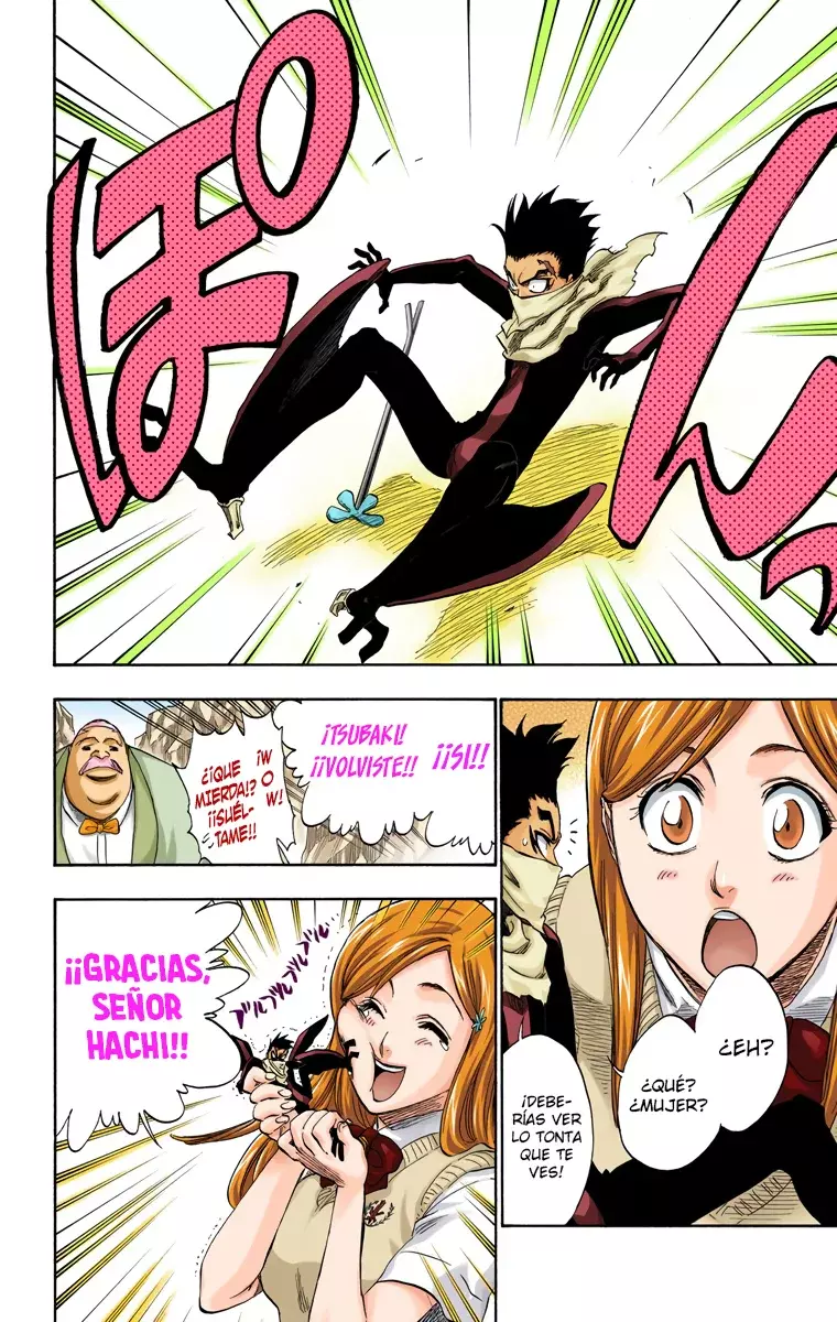 Bleach (Color) capítulo 228, página 15