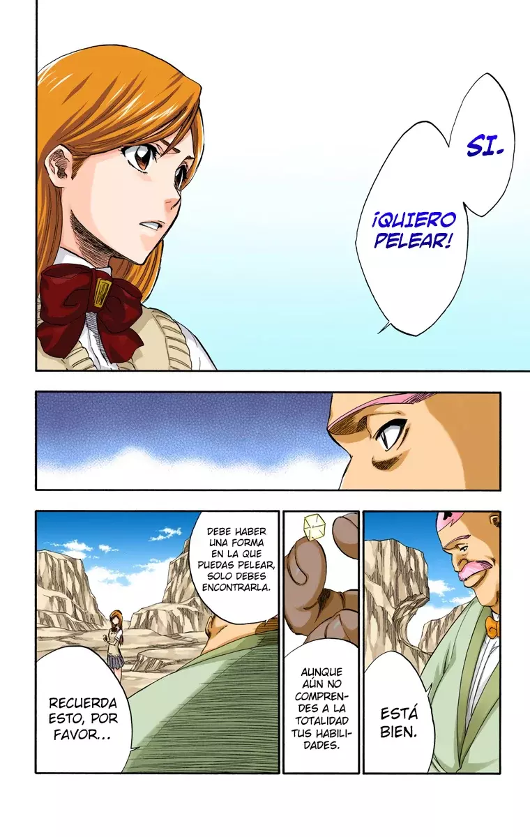 Bleach (Color) capítulo 228, página 17