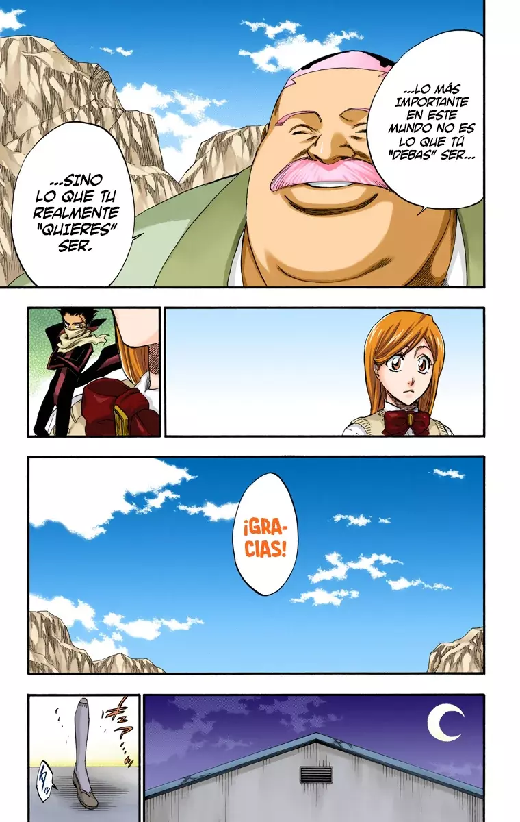 Bleach (Color) capítulo 228, página 18