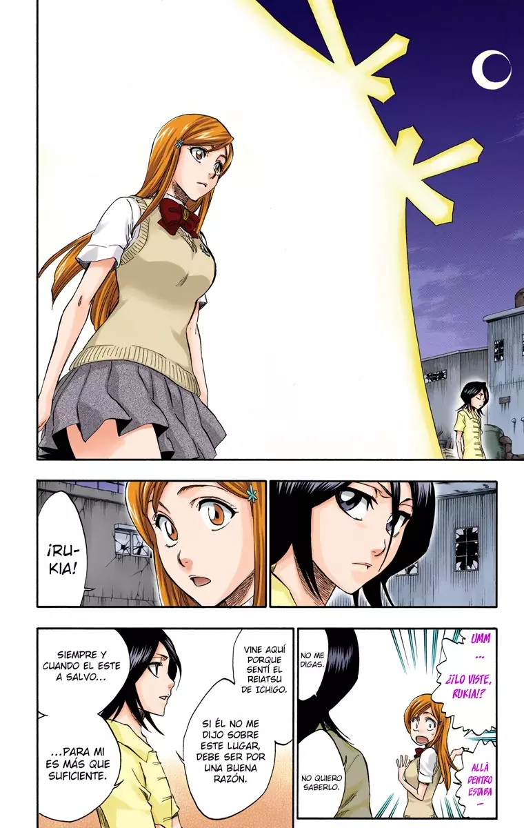Bleach (Color) capítulo 228, página 19