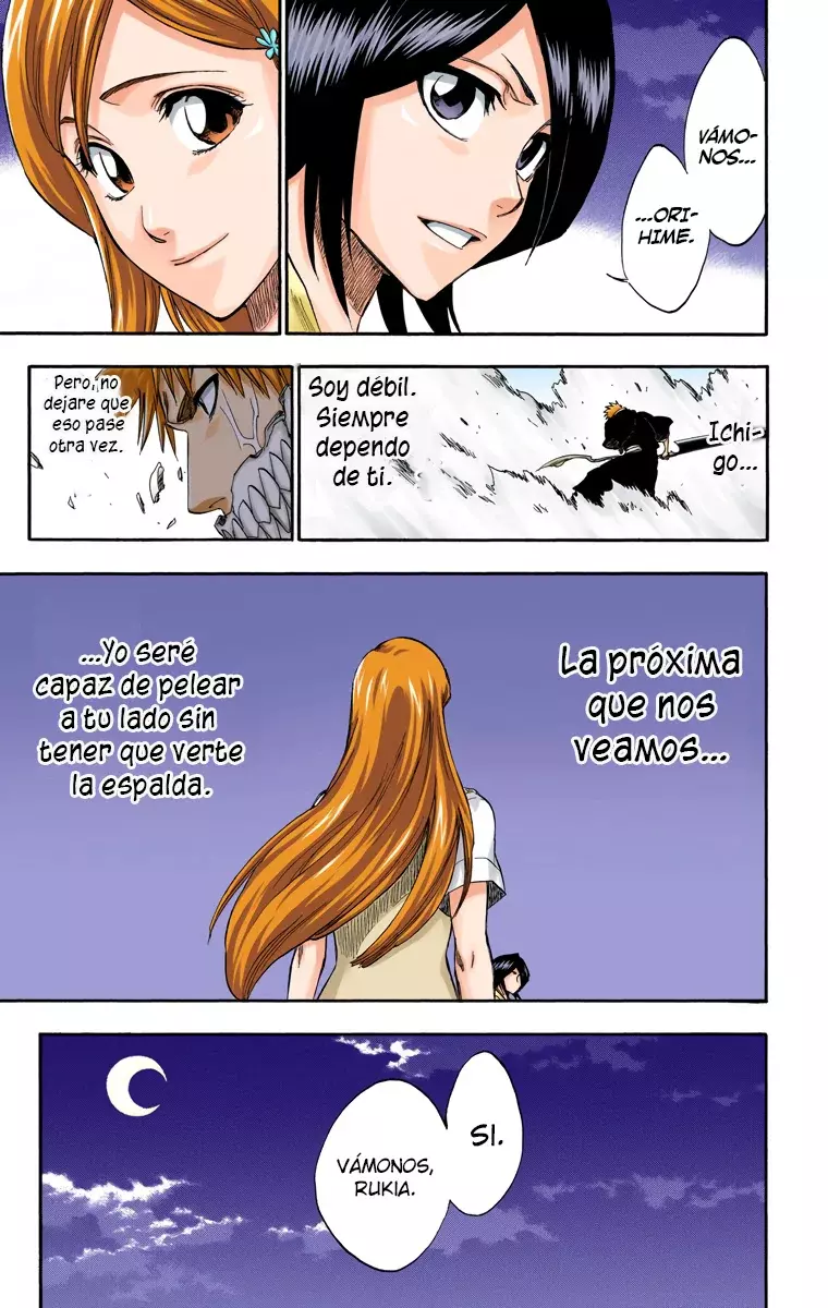 Bleach (Color) capítulo 228, página 20