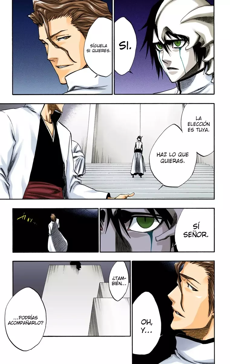 Bleach (Color) capítulo 229, página 17