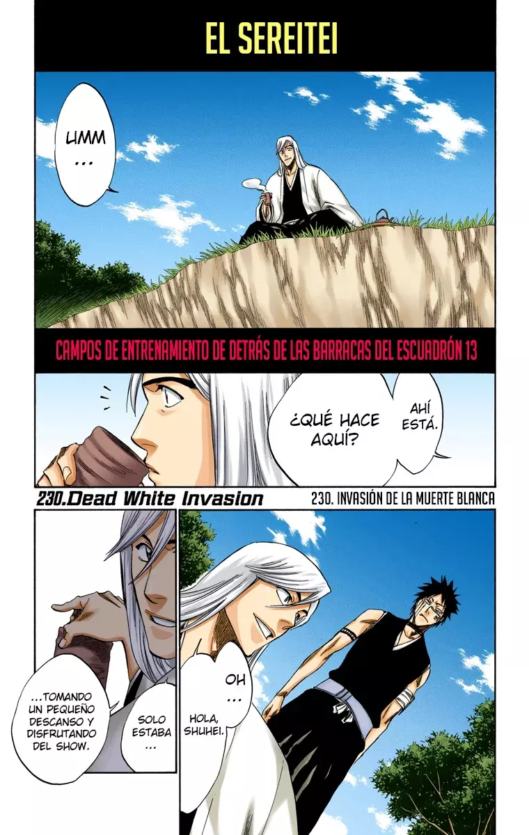 Bleach (Color) capítulo 230, página 2