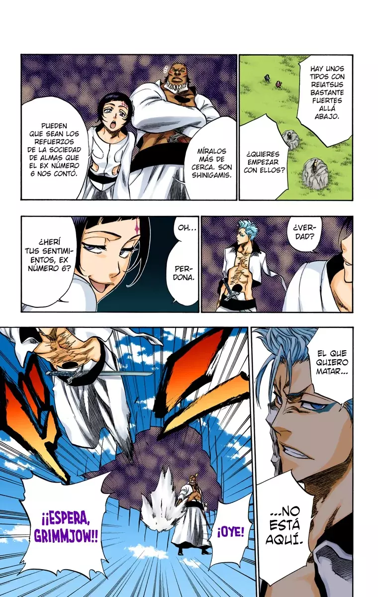 Bleach (Color) capítulo 230, página 11
