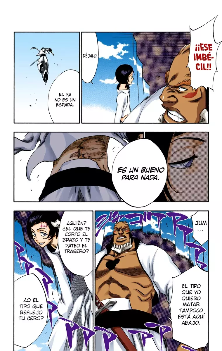 Bleach (Color) capítulo 230, página 12
