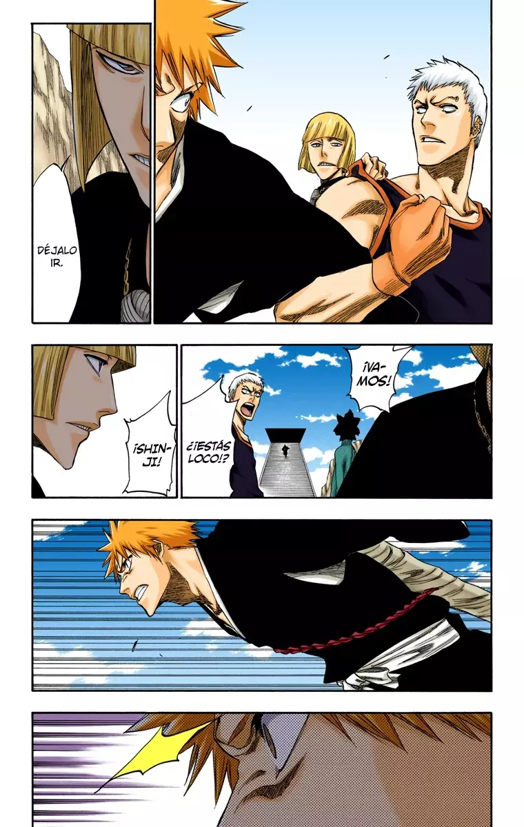 Bleach (Color) capítulo 230, página 17