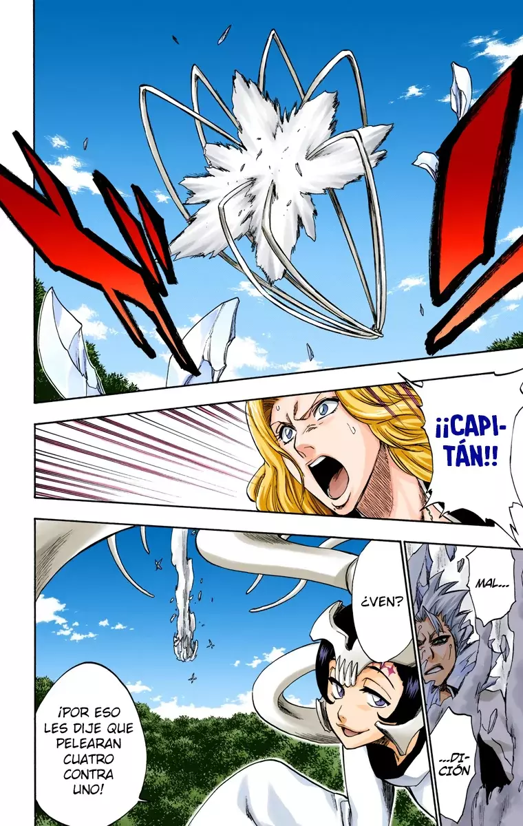 Bleach (Color) capítulo 232, página 11