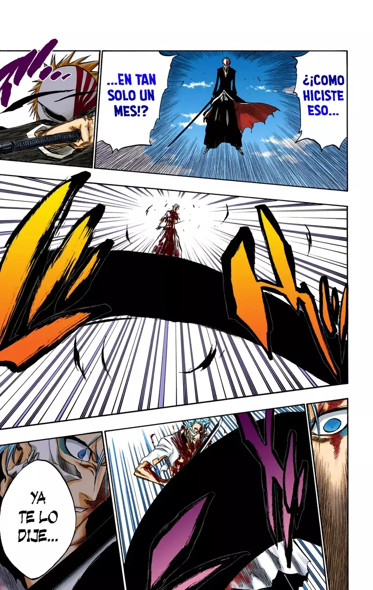 Bleach (Color) capítulo 232, página 14